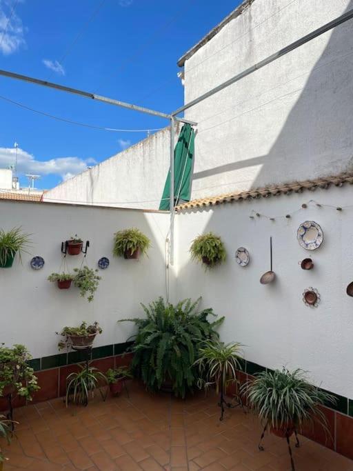Apartamento El Convento Almodóvar del Río المظهر الخارجي الصورة